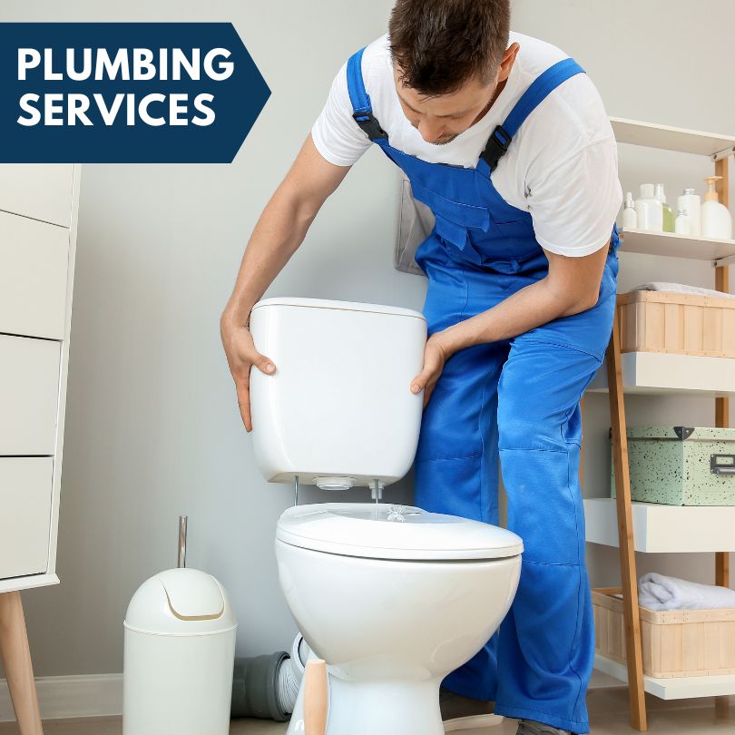 Plumbing Company in Palo, MI